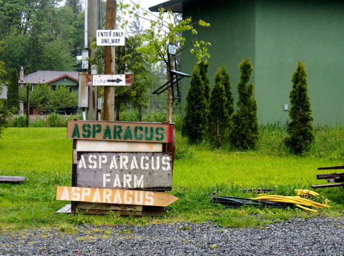 Pedrosa's Asparagus Farm, Cowichan Bay, BC