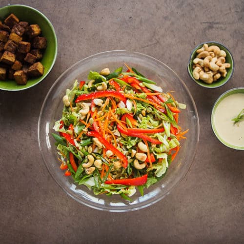 Asian Salad with Tempeh and Sesame Ginger Probiotic Rich Dressing