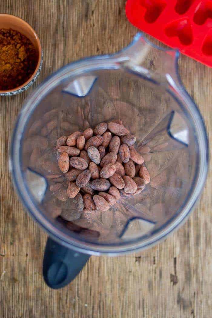 Raw Cacao Beans in Vitamix Blender