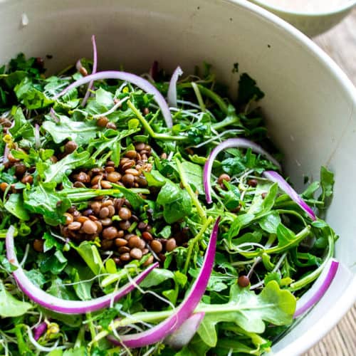 Close Up of Lentil Salad with Red Onion and Arugula