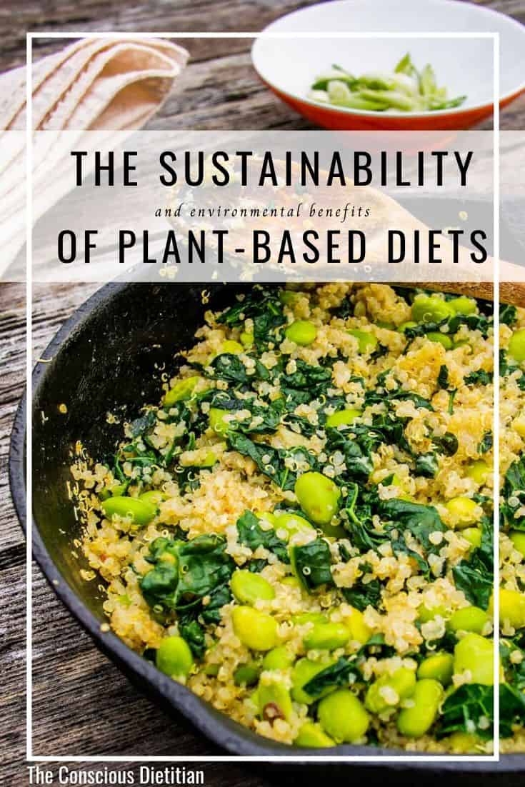 PIN Plant-Based Diets and Environmental Sustainability